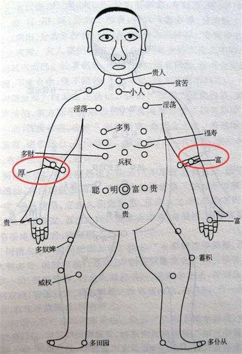 手臂長痣代表什麼|痣的位置透露出這些訊息！上手臂有痣不乏追求者、手。